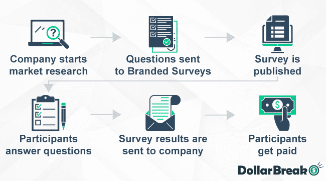 How Does Branded Surveys Works
