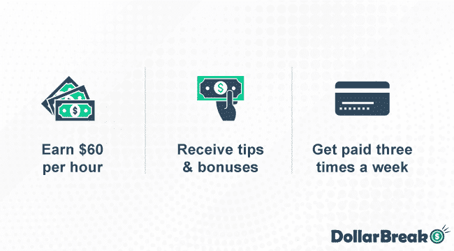 How Much Money can You Earn as Puls Tech