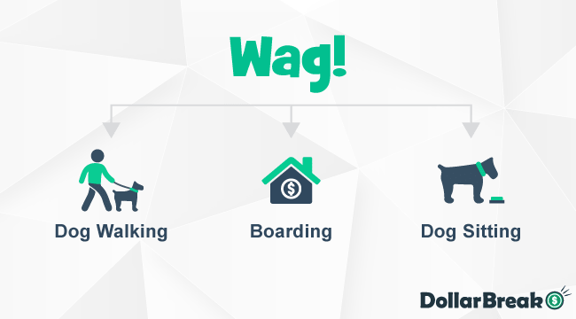 How does Wag Work
