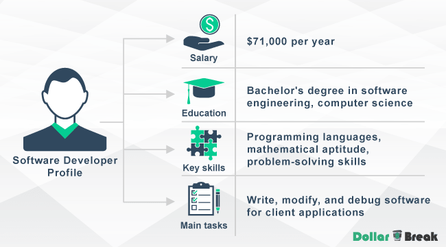 Online Software Developer Profile