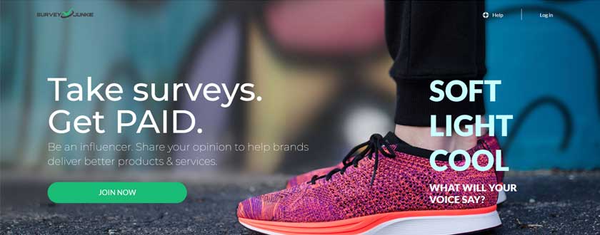 Survey Junkie Online Surveys