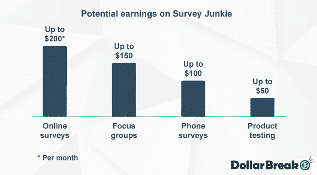 Survey Junkie potential earnings