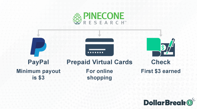 what are pinecone research payment methods