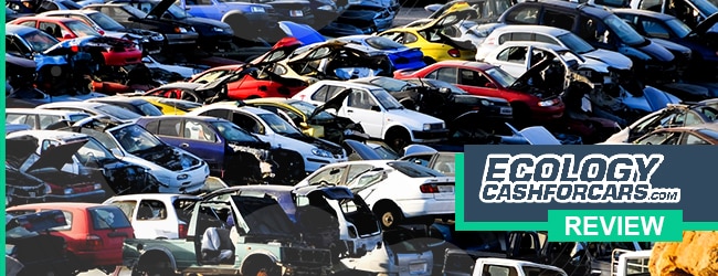 ecology cash cars