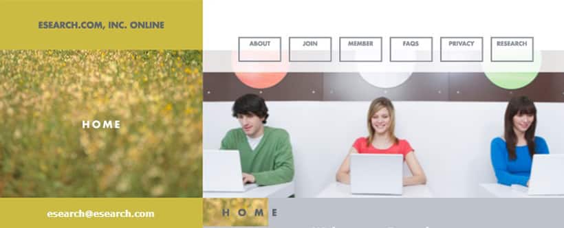 esearch online surveys