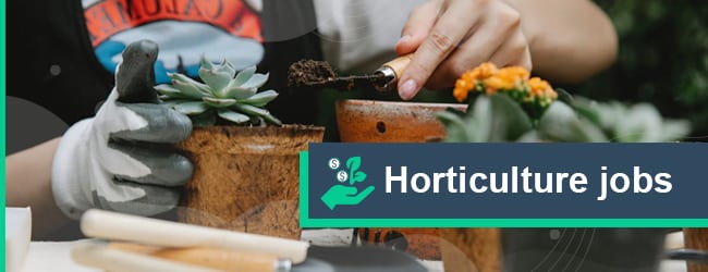 phd horticulture jobs