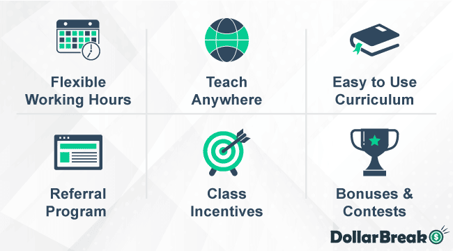 vipkid main features