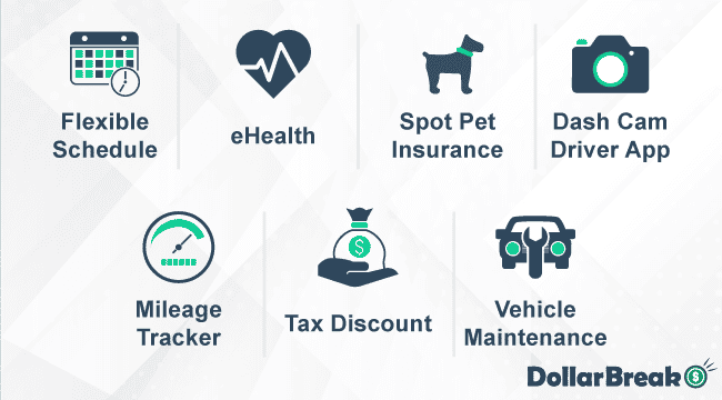 what are ddi main benefits