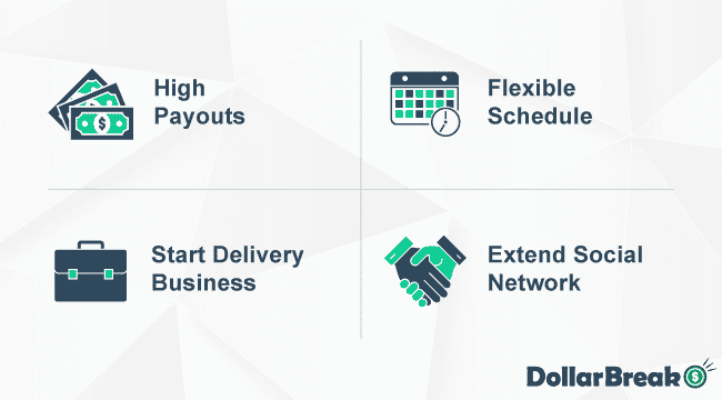 what are dolly main benefits