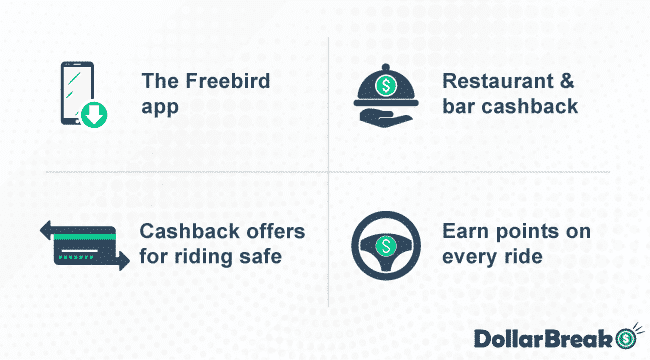 what are freebird key features